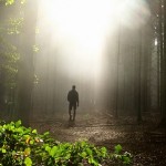 light walk