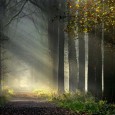 The Vision and The Journey… Not all journeys begin with a vision, but every vision is the beginning of a journey. As I mentioned in my last post, I am talking about something that originated...